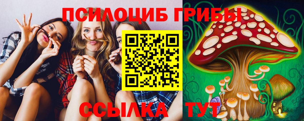 Галлюциногенные грибы Psilocybe  Вход с VPN  Кандалакша 