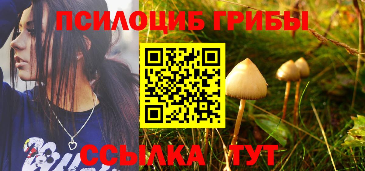 Галлюциногенные грибы Cubensis Кандалакша